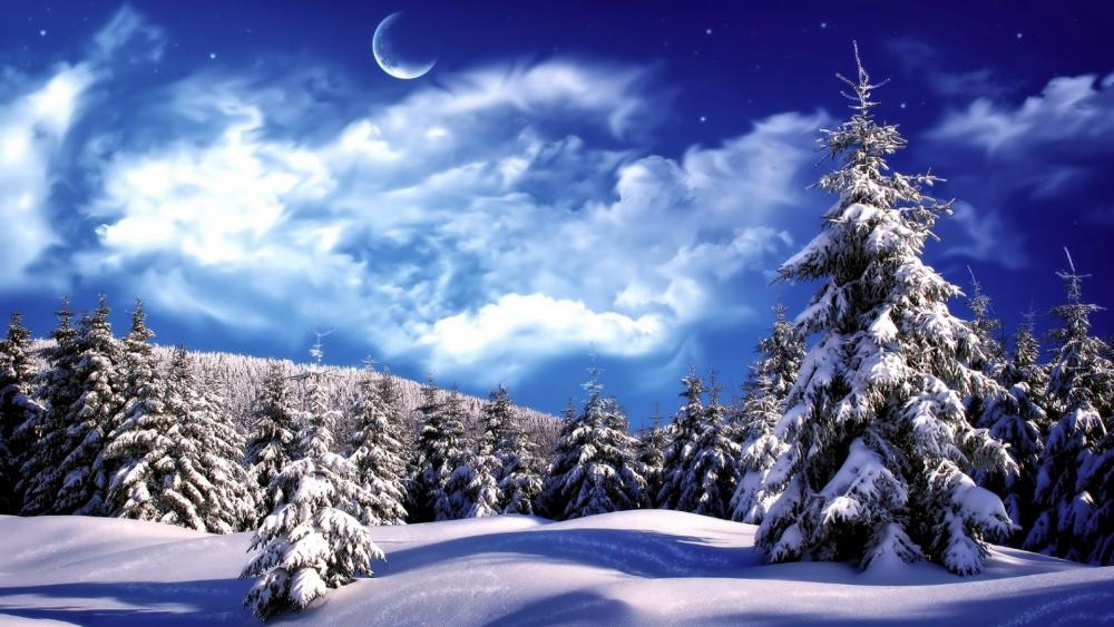 Snowy pines in winter night ❄️⭐️ wallpaper