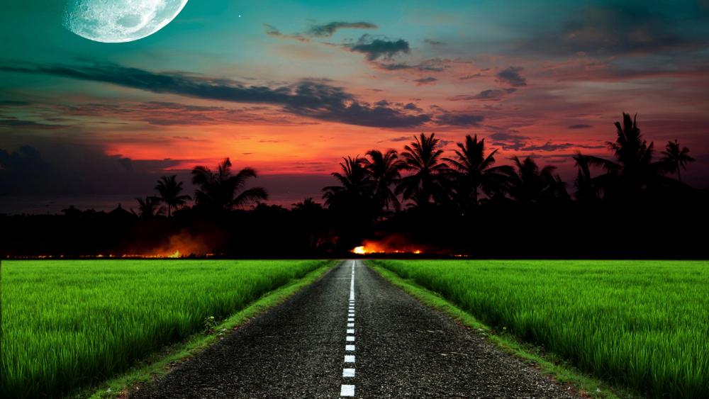 Supermoon above the long road in the sunset tropical landscape wallpaper