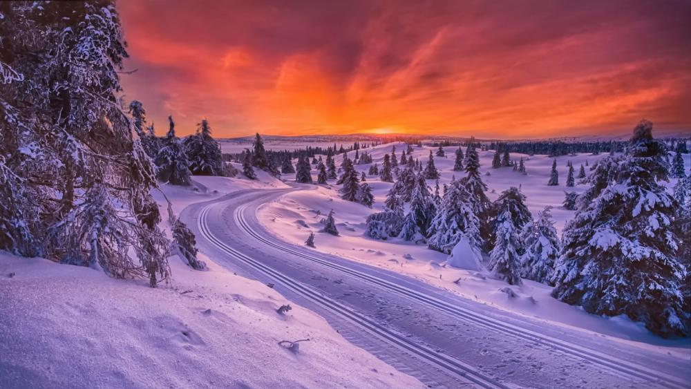 Snowy road in sunset - Norway wallpaper