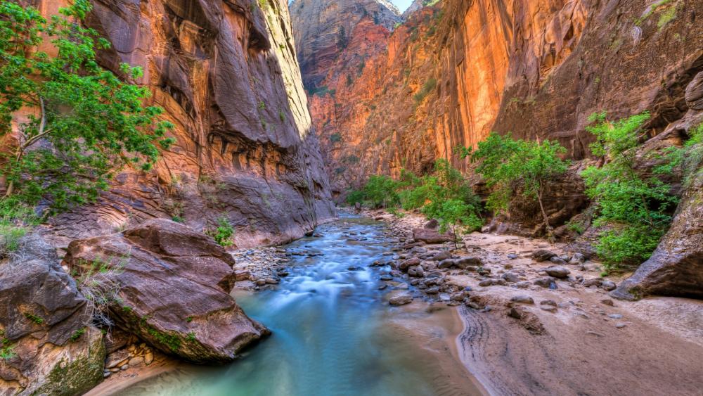 The Narrows in Zion National Park wallpaper