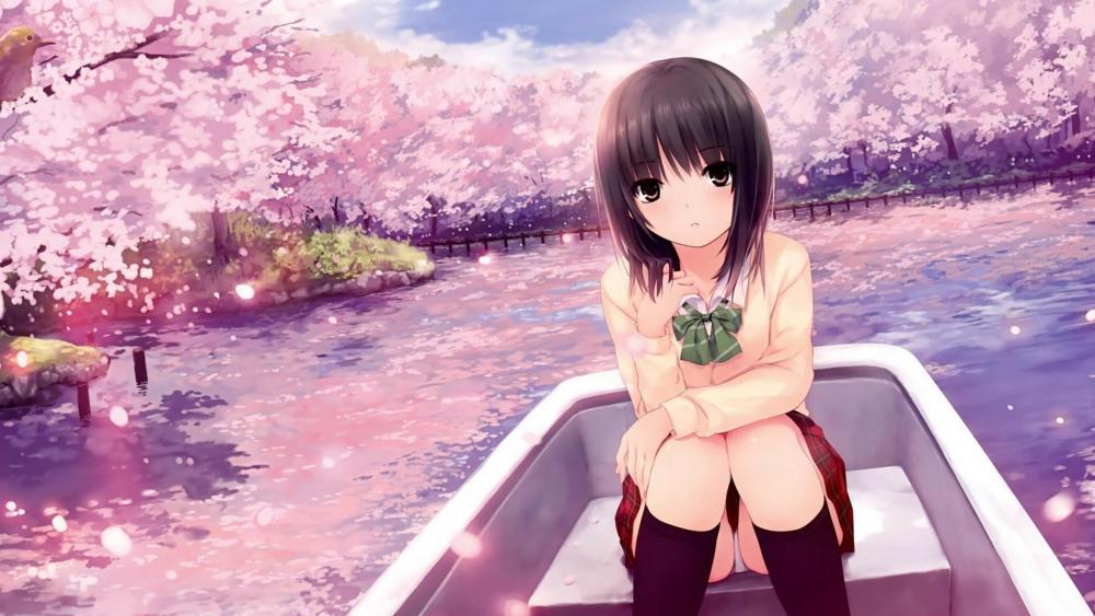 Serene Boat Ride with Cherry Blossoms wallpaper