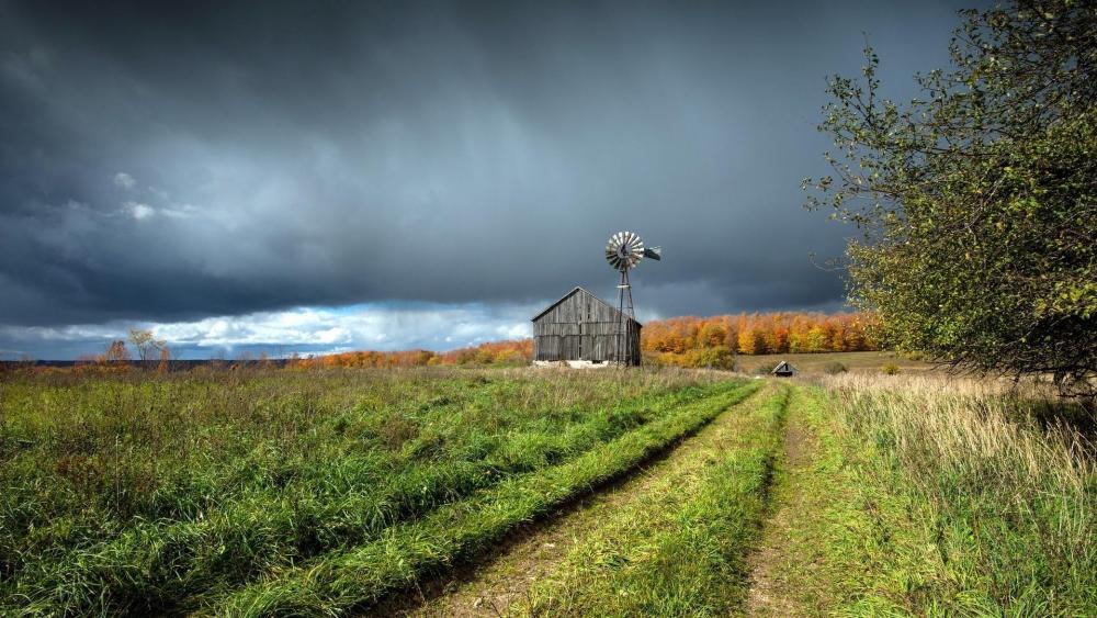 Farm with a windmill wallpaper