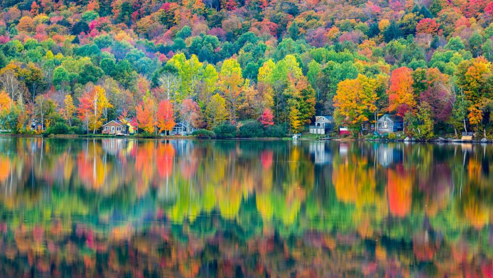Autumn at the Lake Elmore, Vermont wallpaper