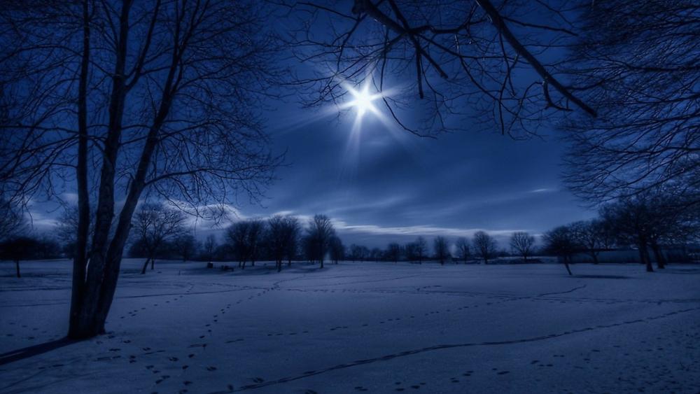 Winter landscape in moonlight wallpaper