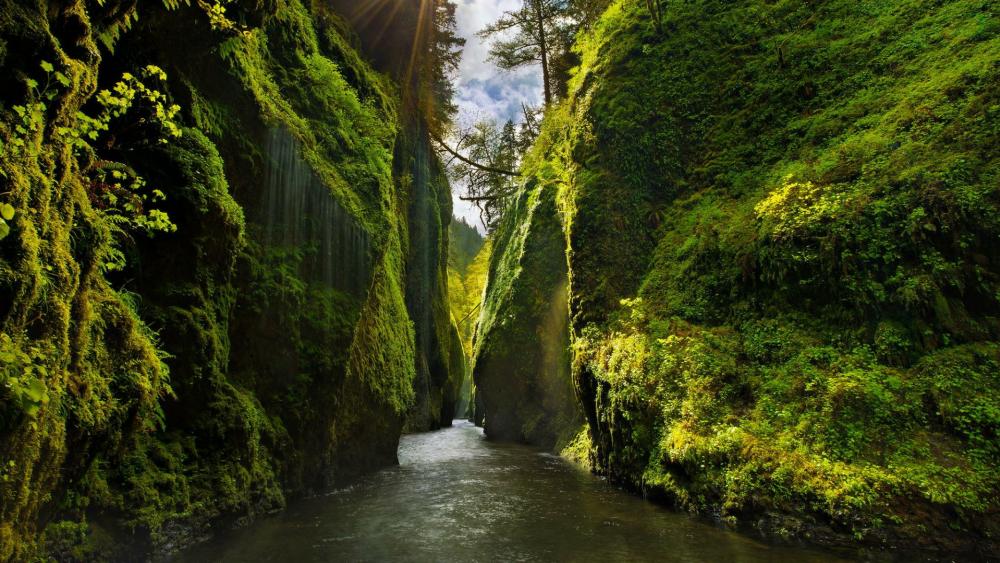 River between steep cliffs in Columbia River Gorge National Scenic Area, Oregon wallpaper