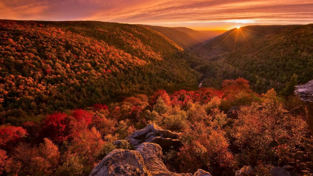 Autumn at Blackwater Falls State Park West Virginia wallpaper