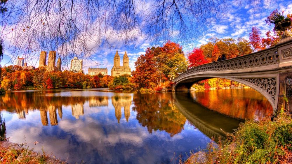 Autumn reflection in the Central Park wallpaper