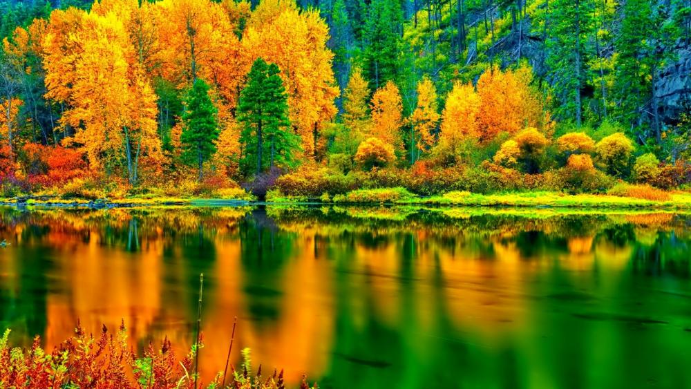 Beautiful autumn landscape wallpaper