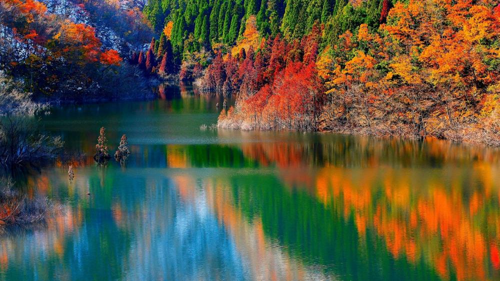 Mountain lake in the autumn forest wallpaper