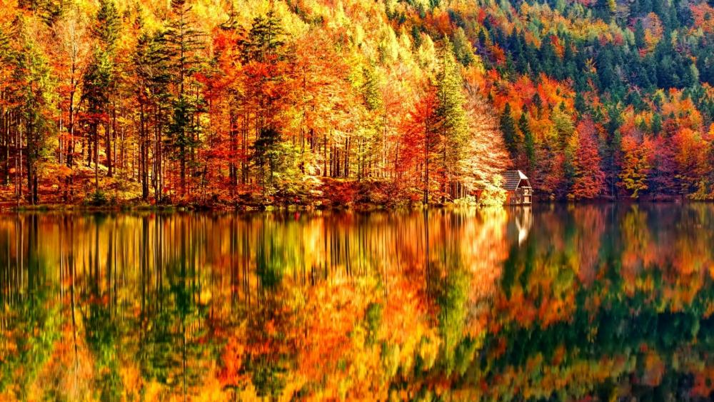 Splendid autumn wallpaper