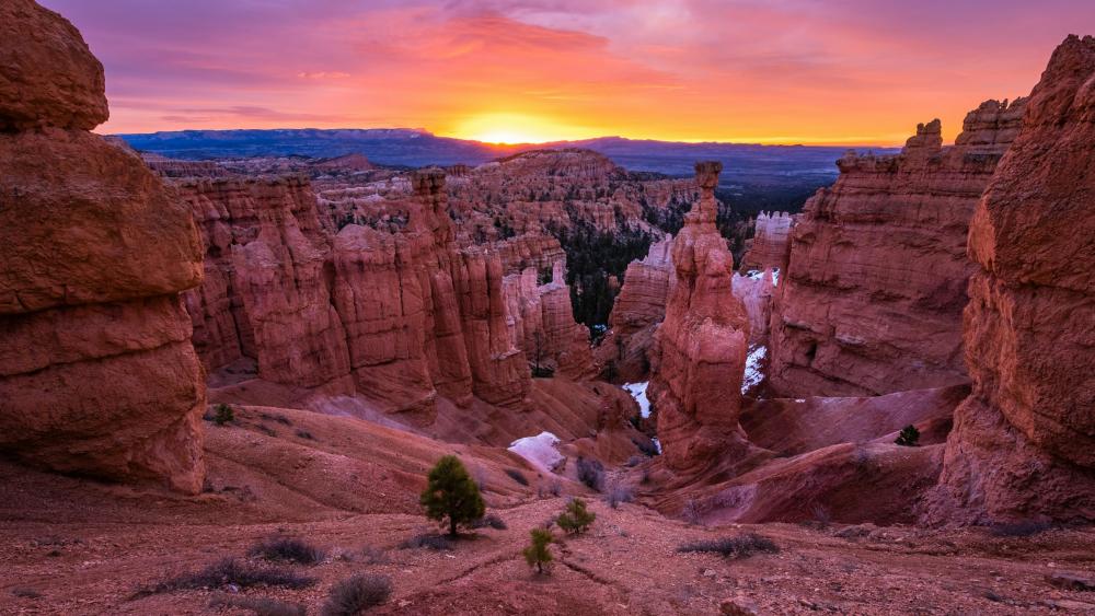 Sunset in Bryce Canyon National Park wallpaper