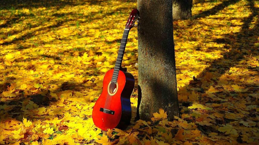 Guitar in autumn forest wallpaper
