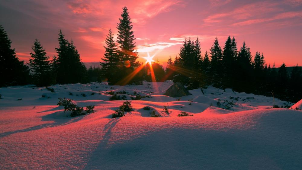 Winter sunbeams on Vitosha Mountain, Bulgaria wallpaper