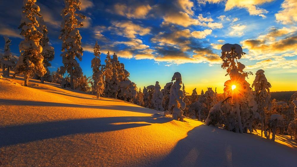 Snowy slop in the sunset wallpaper