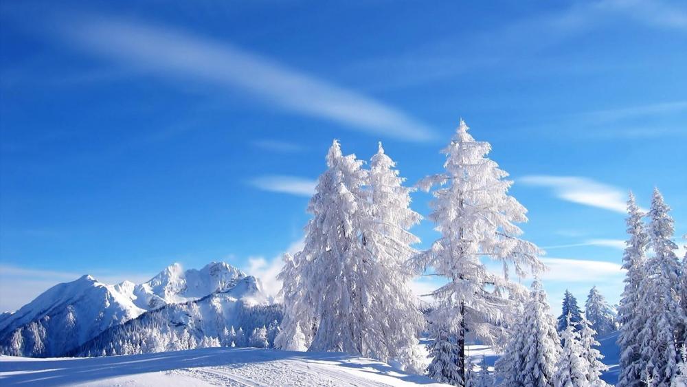 Winter blue sky wallpaper