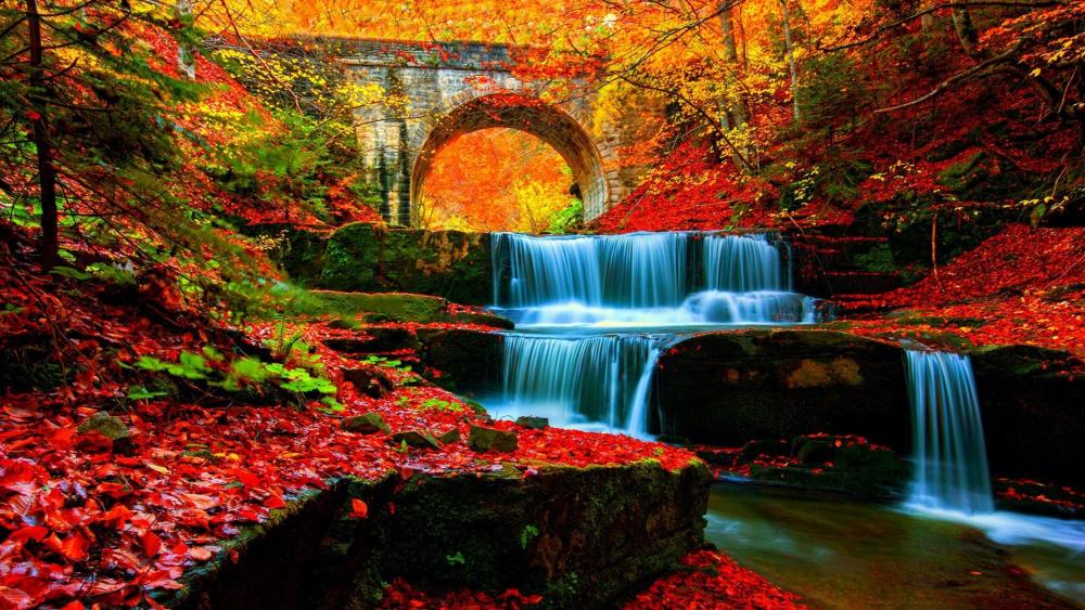 Autumn waterfall in the forest wallpaper