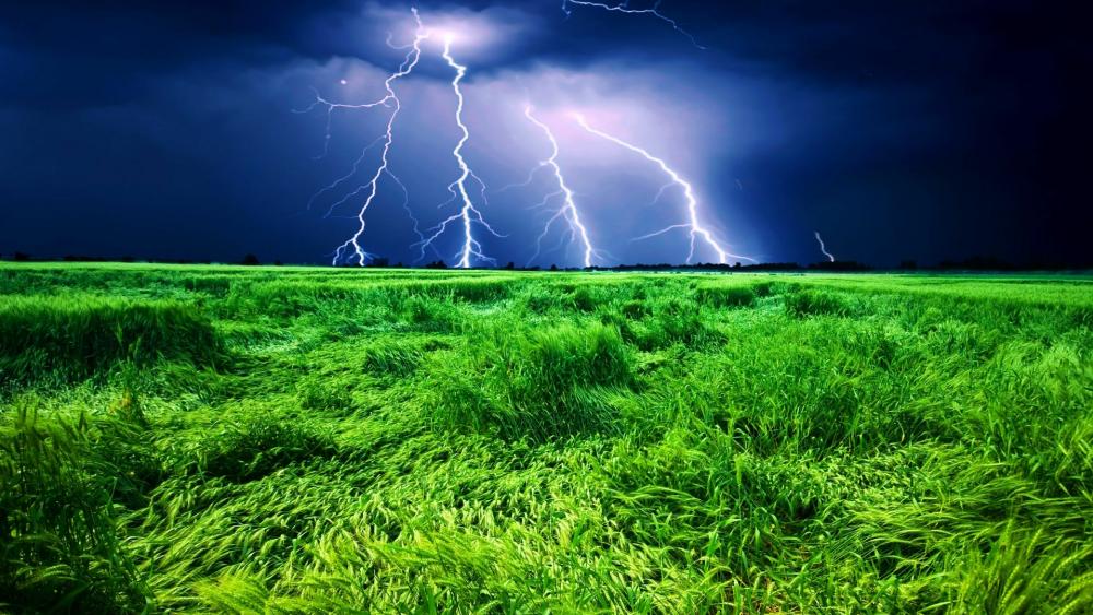 Llightning storm over the wheat field ️ wallpaper
