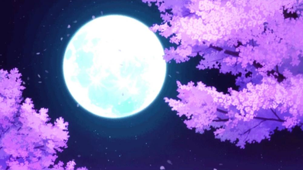 Moonlight - Anime art wallpaper