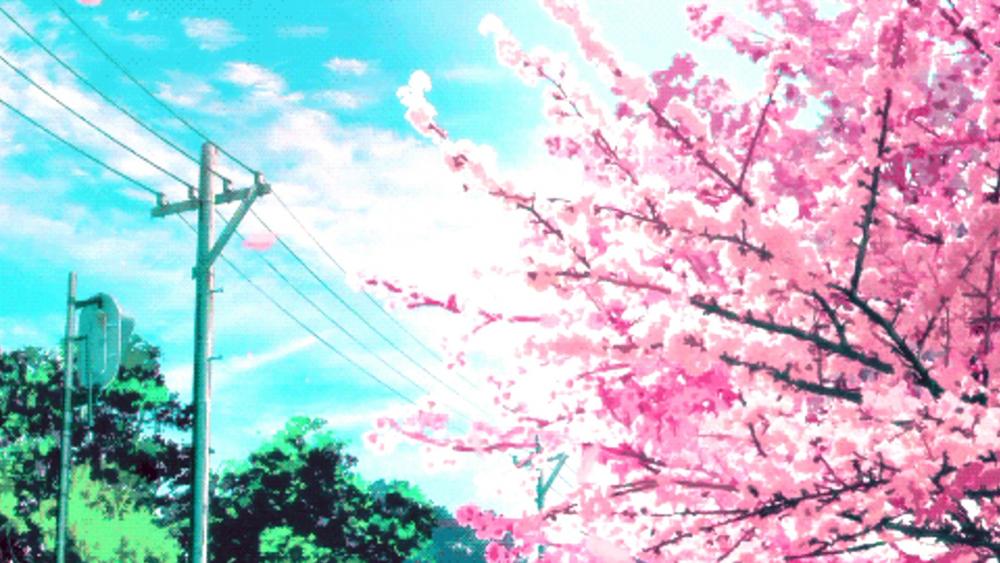 Dreamscape Sakura Bliss wallpaper