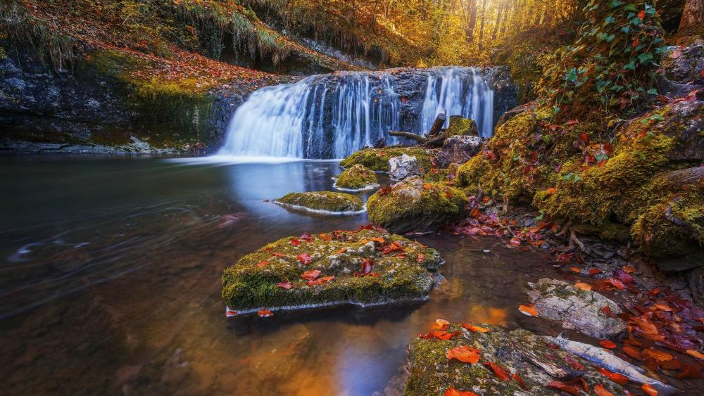 Waterfall in the autumn forest wallpaper