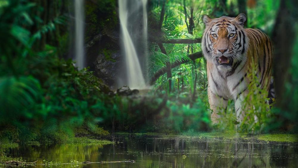 Tiger in the jungle wallpaper