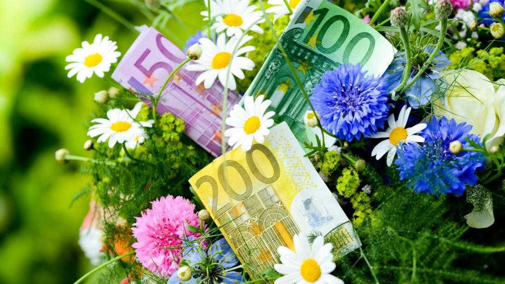 Euros in the bouquet wallpaper