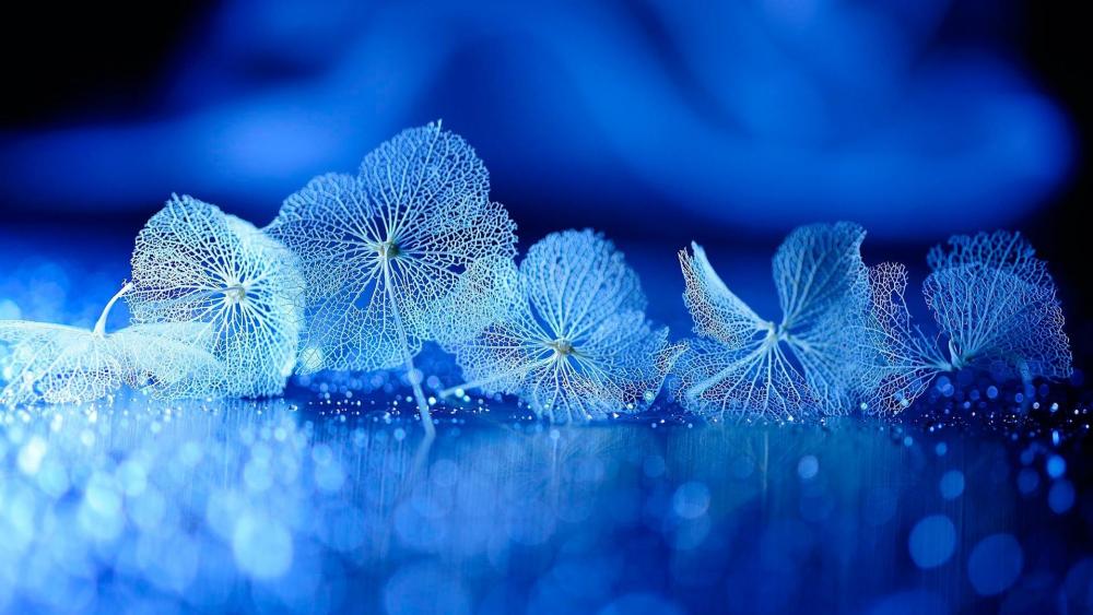 Dry leaves - Blue photography art wallpaper