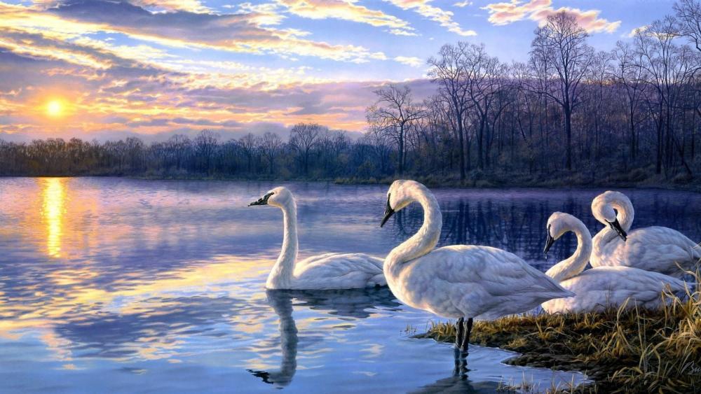 Swans at the lakeside - Painting art wallpaper