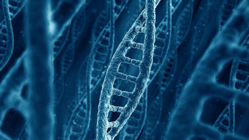 Human gene wallpaper