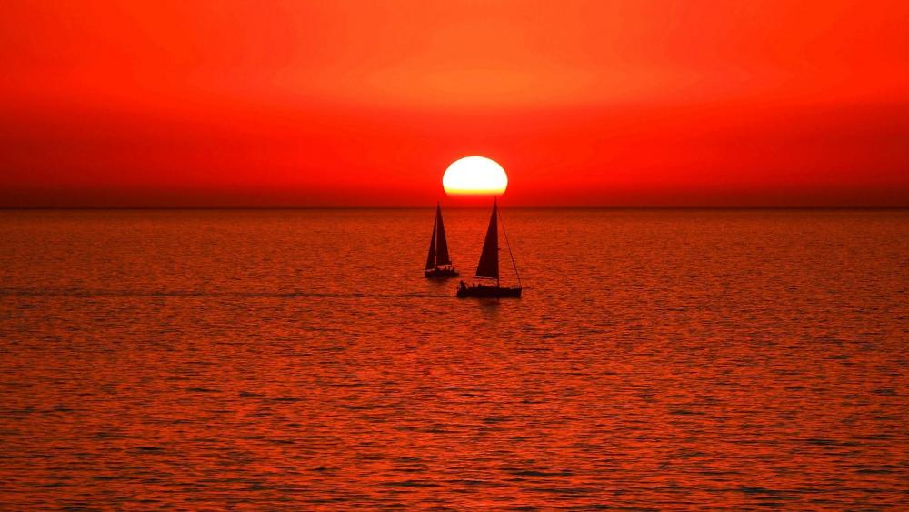Sailboats in the sunset wallpaper