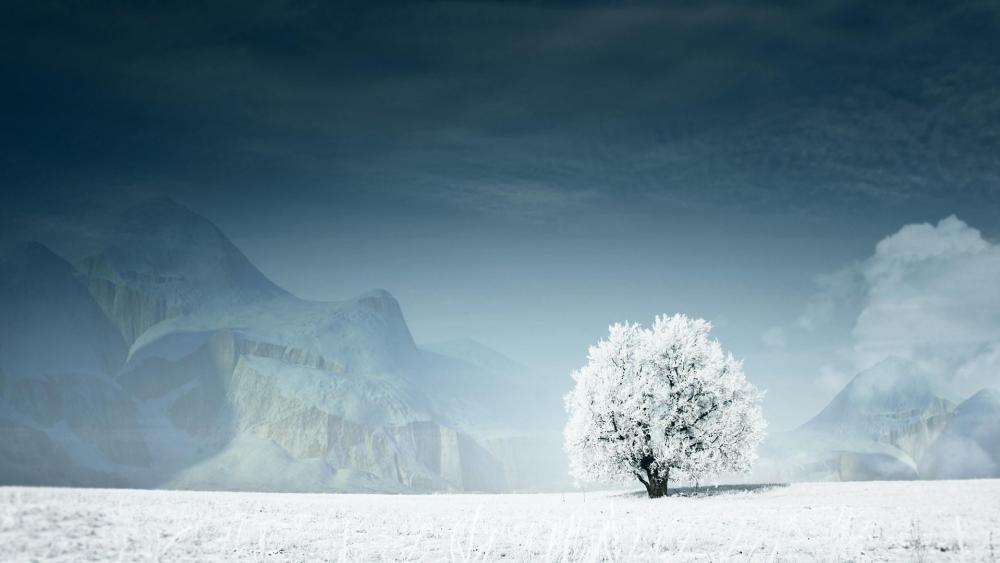 Frozen lonely tree wallpaper