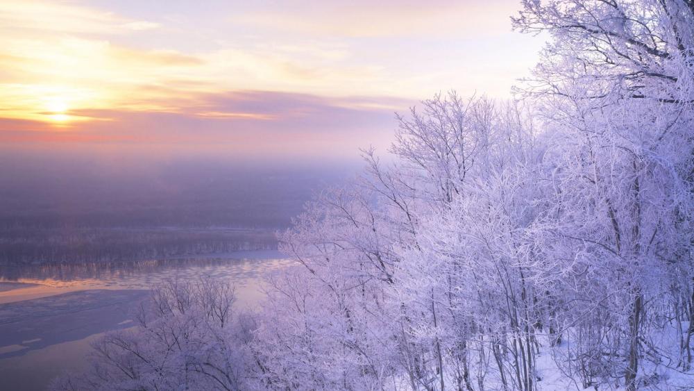 Frozen winter landscape wallpaper