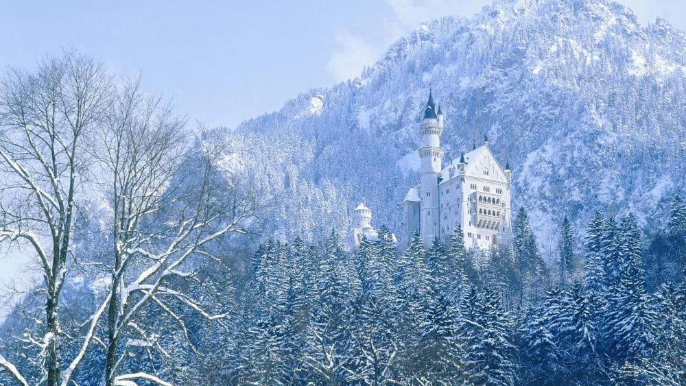 Neuschwanstein Castle in winter wallpaper
