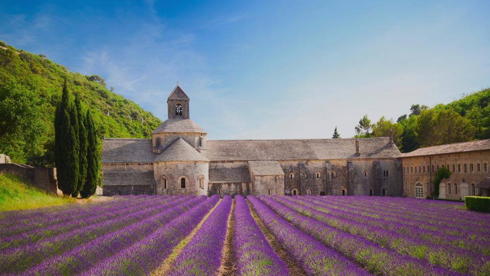 Sénanque Abbey - Provence, France wallpaper