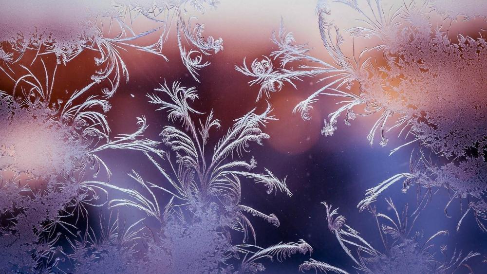 Frostwork on the glass wallpaper