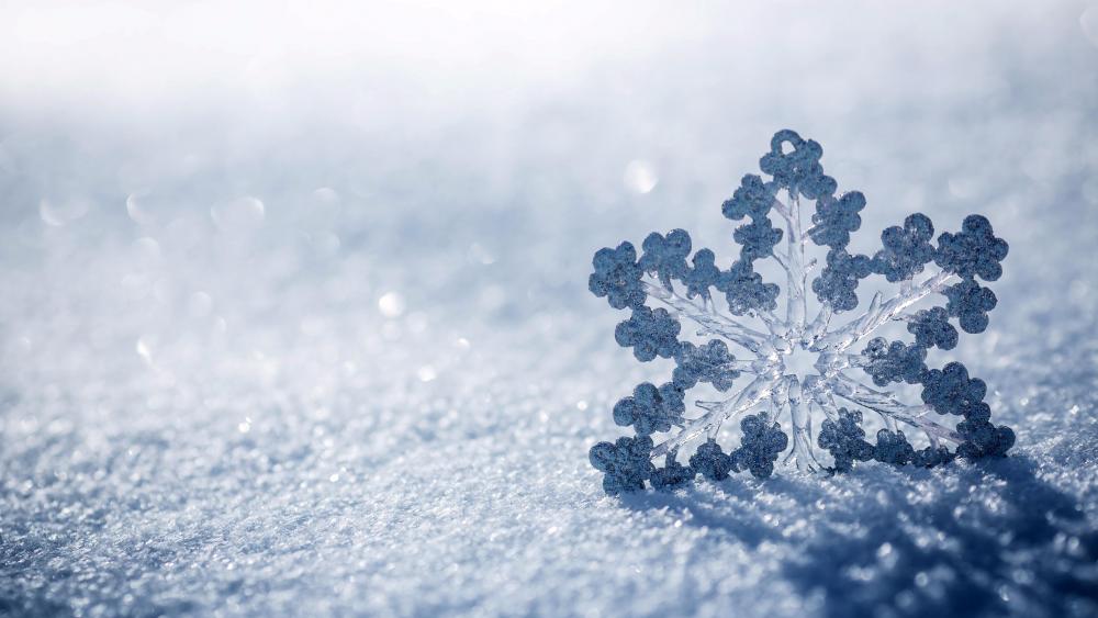 Snowflake in the snow wallpaper