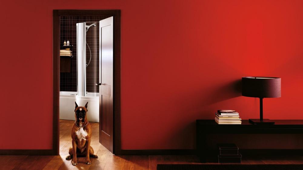 Cool Style Red Room with a dog wallpaper