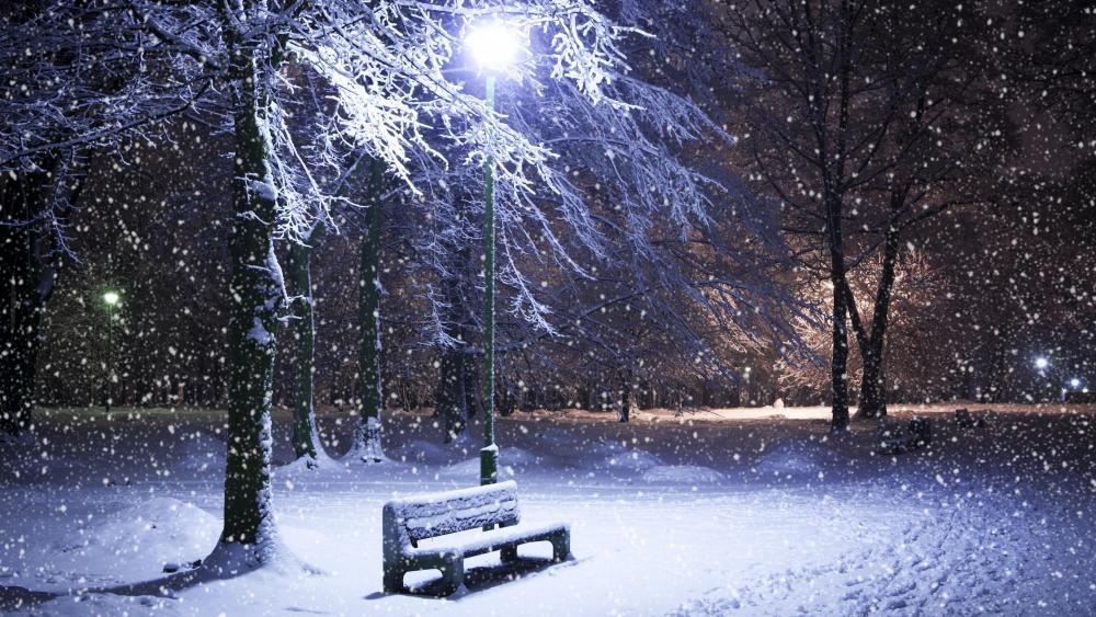 Bench in the snowfall wallpaper