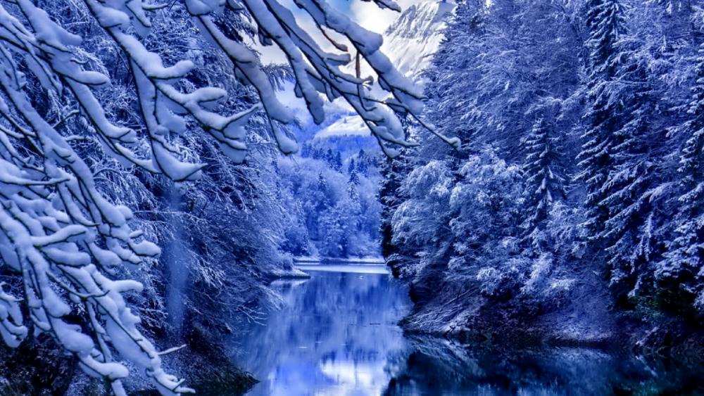 Frozen nature wallpaper