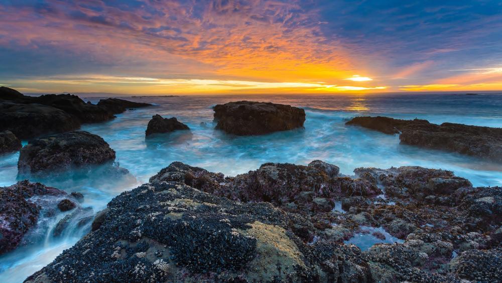 Rocky coast in the sunset wallpaper