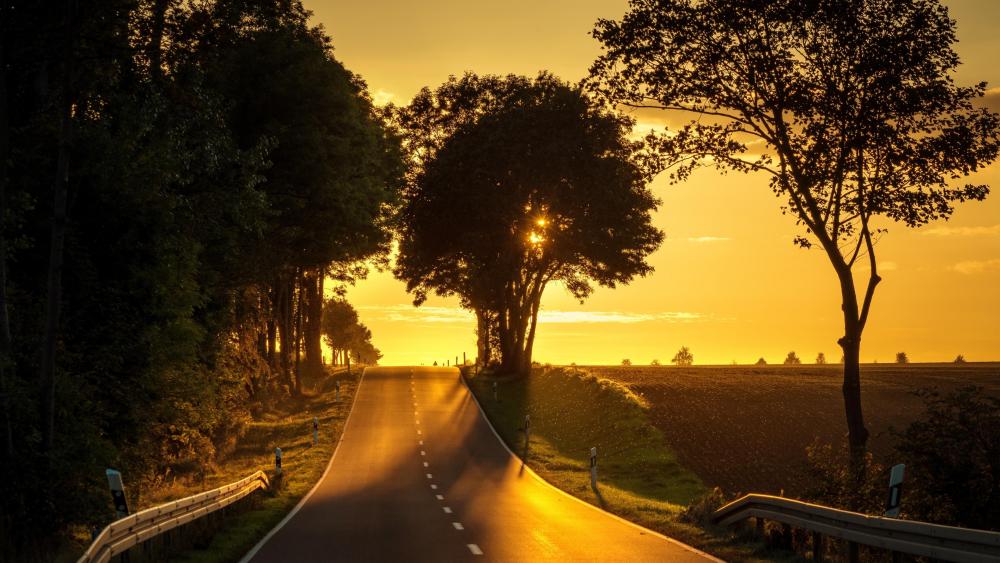 Road in the sunset wallpaper