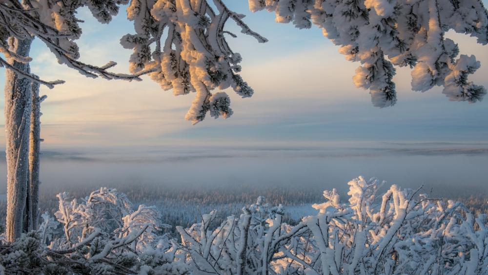 Snowy Lapland - Ylläs in winter (Finland) wallpaper