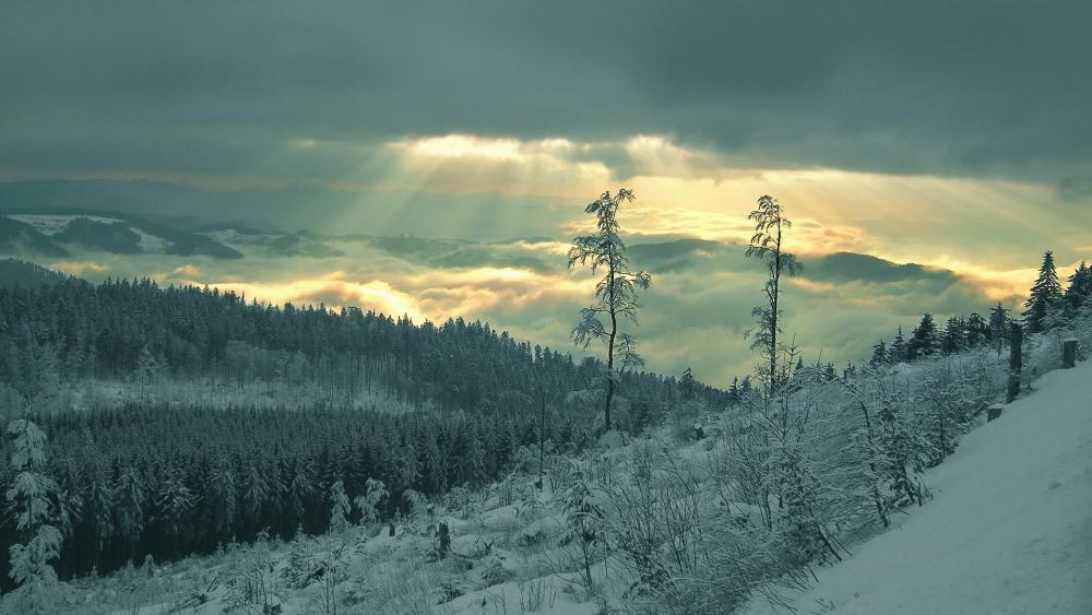 Winter landscape wallpaper