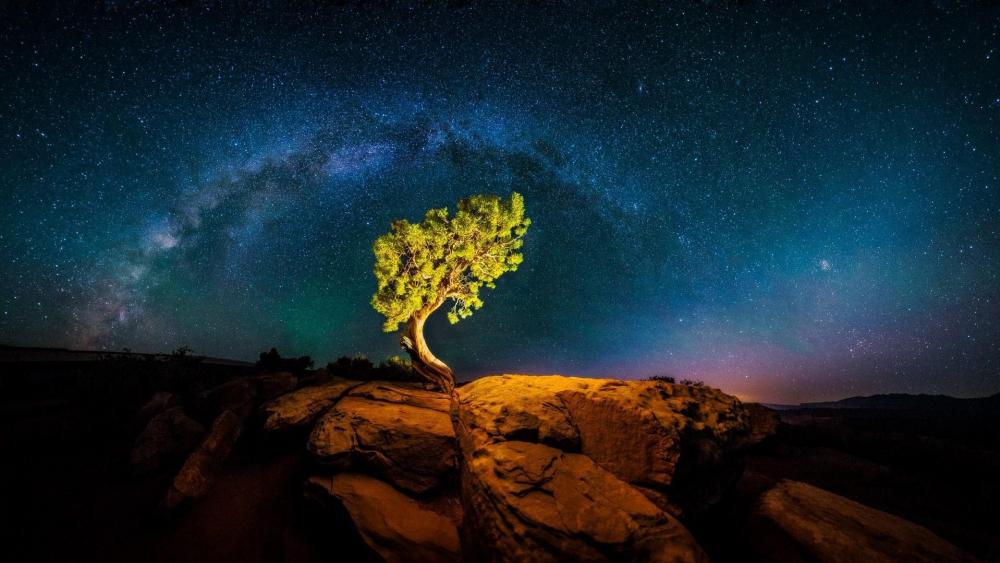 Milky Way over the lonely tree wallpaper