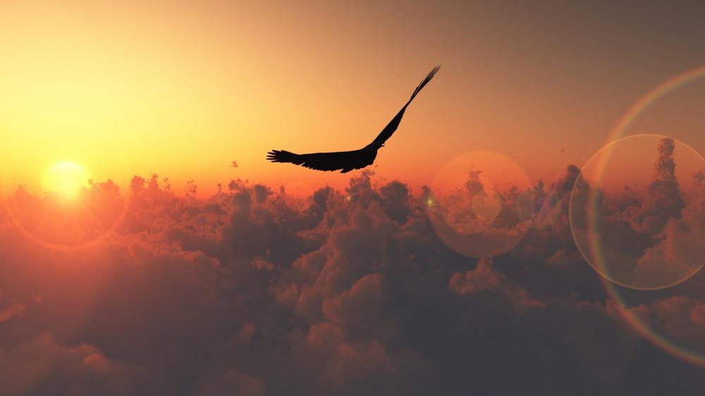 Fly above the clouds wallpaper