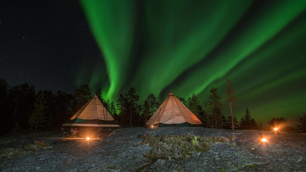 Green Northern Lights in Lapland wallpaper