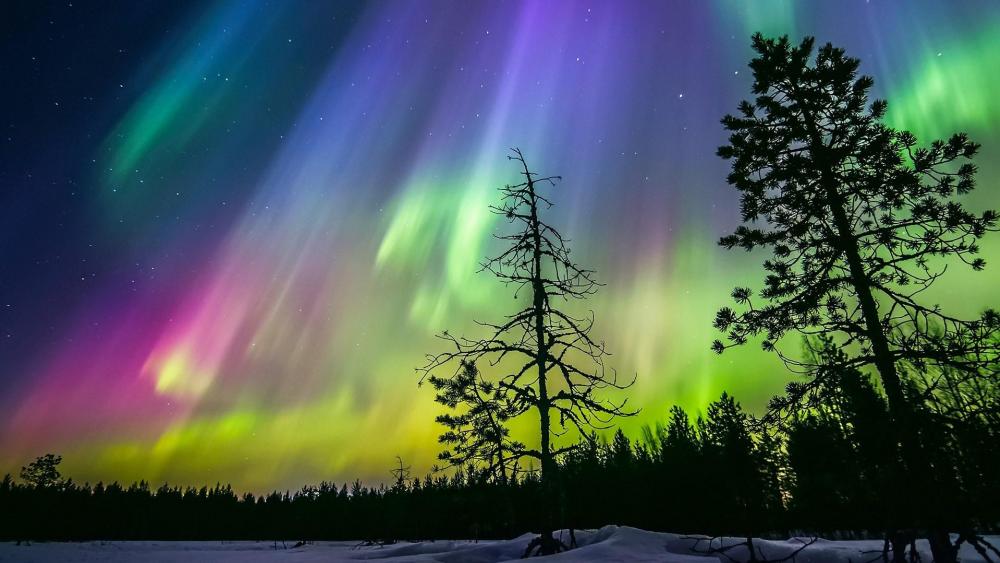 Northern Lights - Finland wallpaper