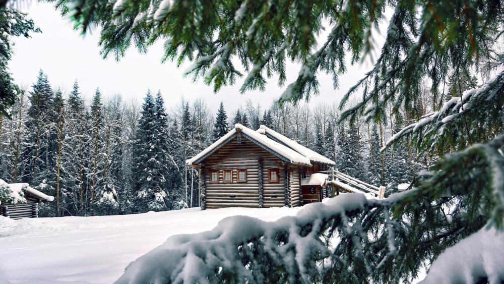 Snowy log cabin in the fir forest wallpaper