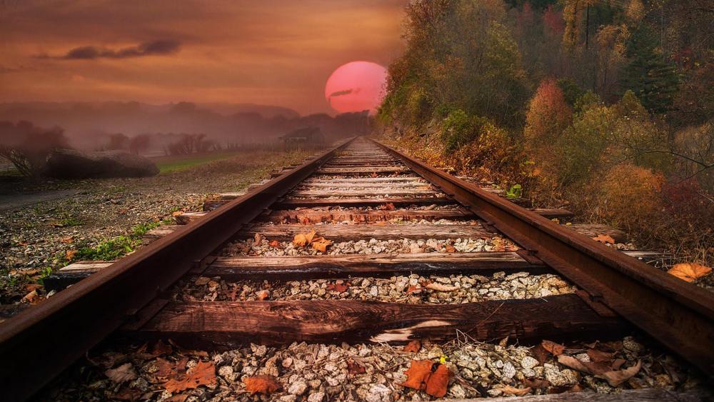 Autumn railway in the sunset wallpaper