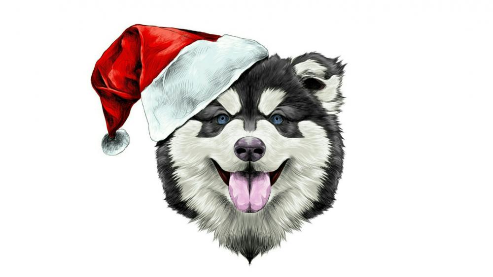 Alaskan Malamute Santa Claus illustration wallpaper